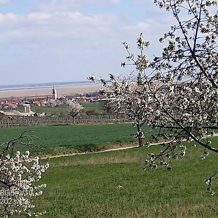 Ferienwohnung Zur Kirschblute Purbach am Neusiedlersee Exterior foto