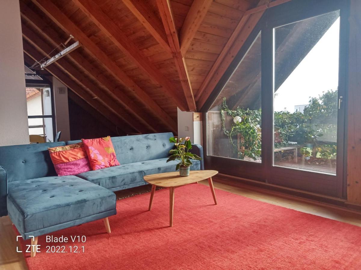 Ferienwohnung Zur Kirschblute Purbach am Neusiedlersee Exterior foto
